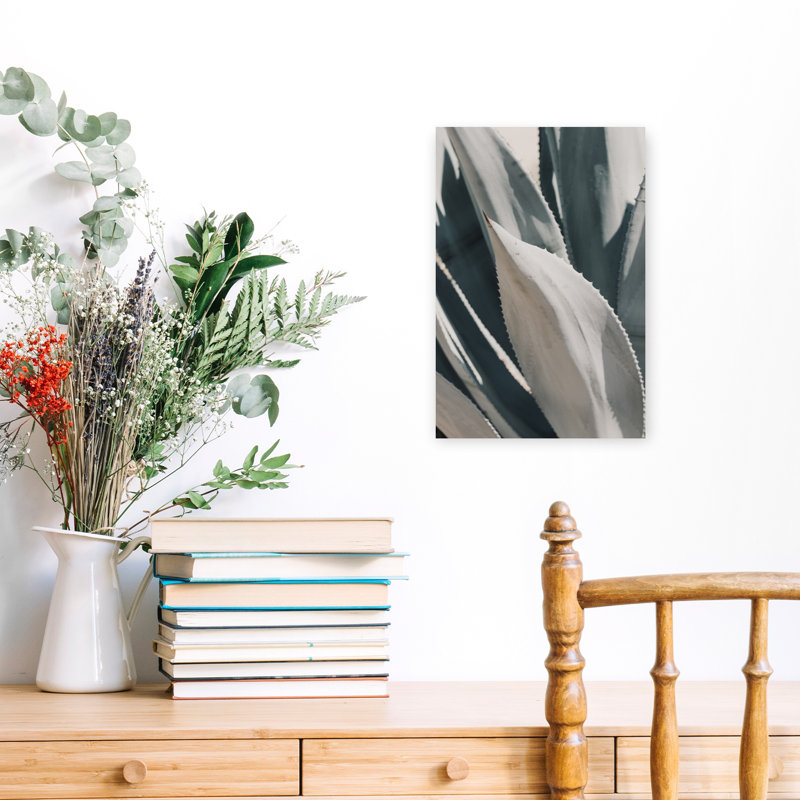Natural Succulent Form With Shallow Focus And Neutral Teal Tones by Stephanie Klatt - Wrapped Canvas Print