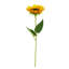 Tige de tournesol