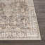 Oriental Area Rug-368867207