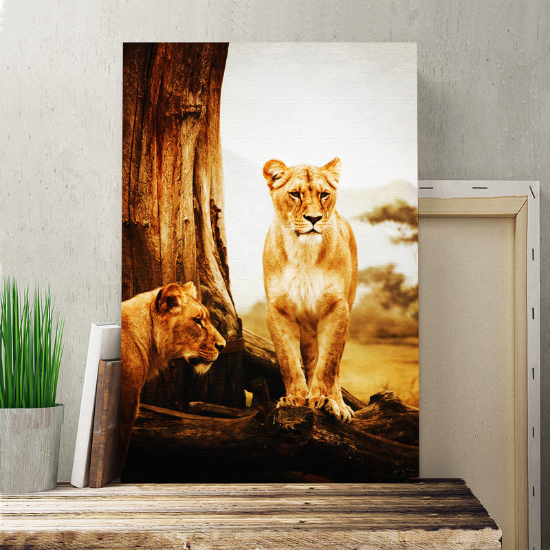 Lion Lioness Photographic - Wrapped Canvas, 60cm H x 40cm W