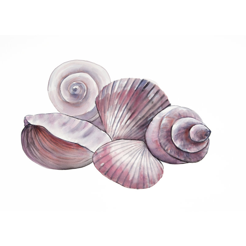 Coquillages de bord de mer