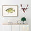 Calico Bass by Sherman F. Denton - Picture Frame Graphic Art Print-55680282-55680284