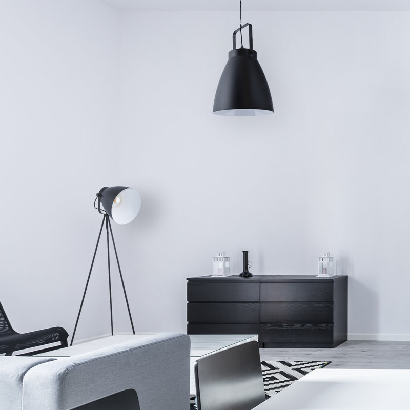 Iliana 1 - Light Single Pendant, Black/White