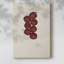 Imprimé floral rétro XLVI - galerie Cavas-887466231