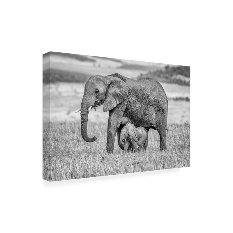 «Staying Close and Protfect» par Jeffrey C Sink - Photographie sur toile tendue, H 22 po x l 32 po x P 2 po