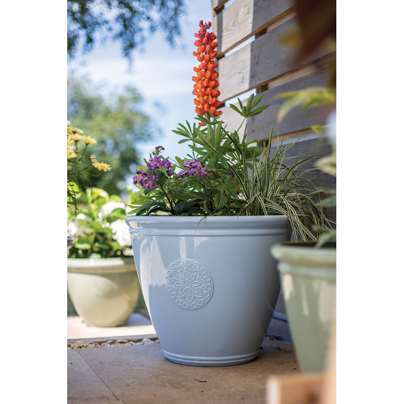 Eden Emblem Plant Pot - Plastic, Blue, 30cm H x 40cm W x 40cm D