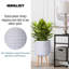 Geometric Patterned Cylinder Planter with Feet-350652352-350652354