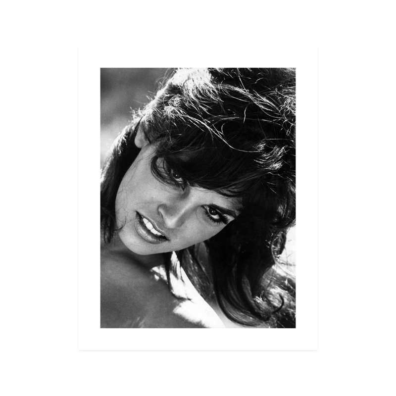 Gros plan sur Raquel Welch, H 10 po x l 8 po