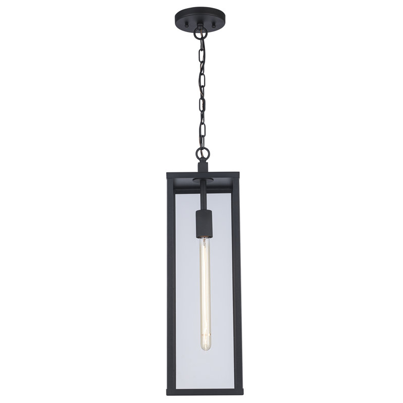 Lanterne suspendue d'extérieur 1 lumière Iddings, H 20,25 po x l 7 po x P 7 po