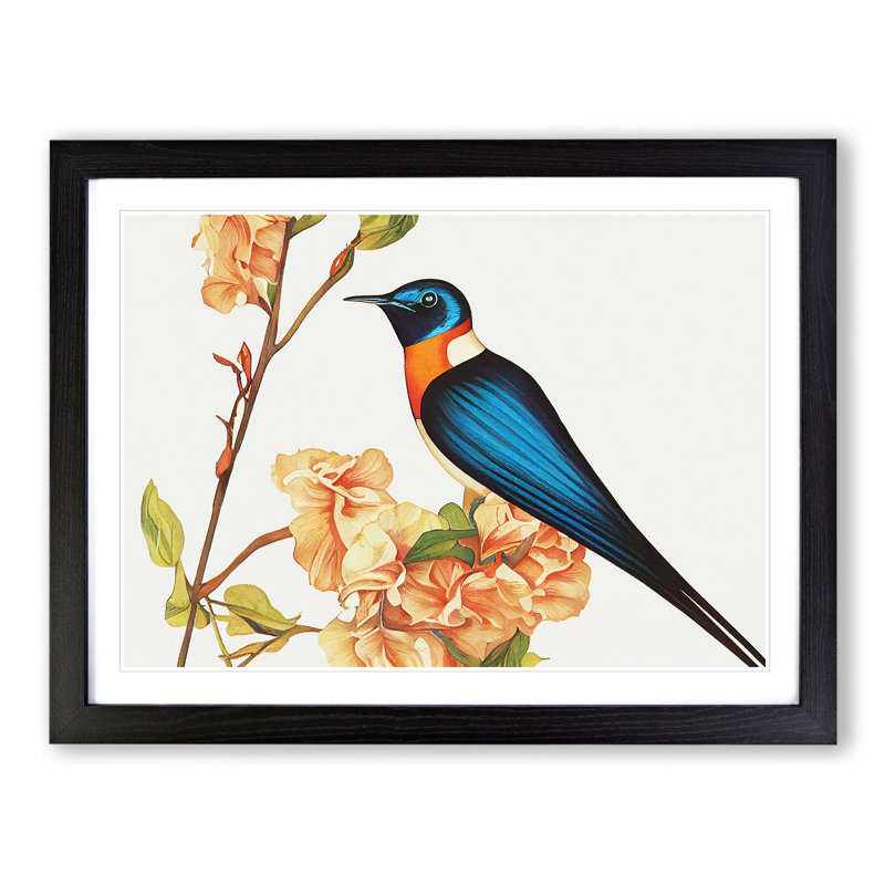 Daring Swallow Bird - Single Picture Frame Print, Black, 46cm H x 64cm W x 2cm D