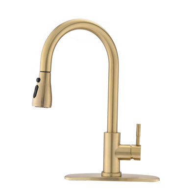 Pdpbath Pull Down Kitchen Faucet