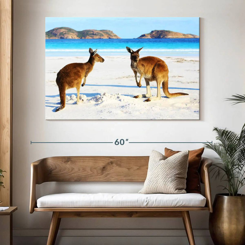 Cape Le Grand Kangaroos