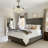 Jannemie 42'' Ceiling Fan with LED Lights