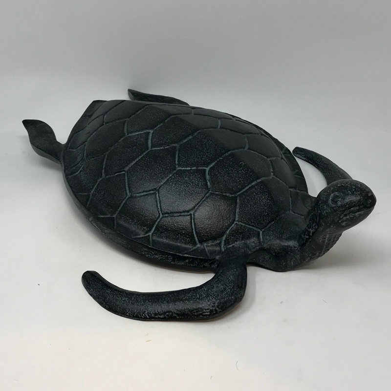 Curieuse tortue de mer - Patine