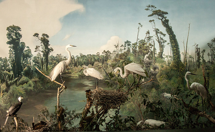 Layoune 2.5m x 2.5m Matte Mural, 208 x 146cm