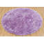 Hand Loomed Modern Area Rug in Purple-1638839588