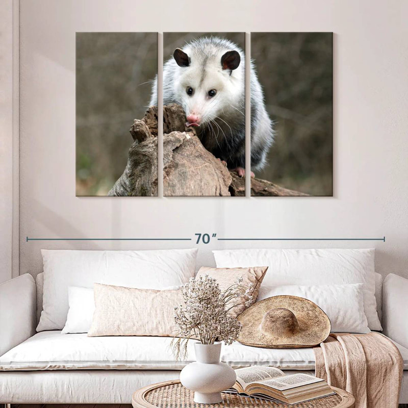Bramble opossum, H 32 po x l 50 po