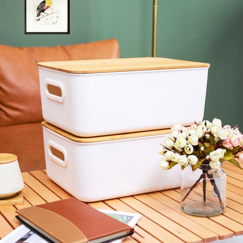 Rebrilliant Plastic Bin