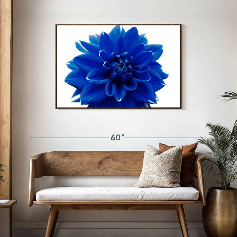Fleur de dahlia bleue, Cadre flottant noyer, 43 po x 29 po