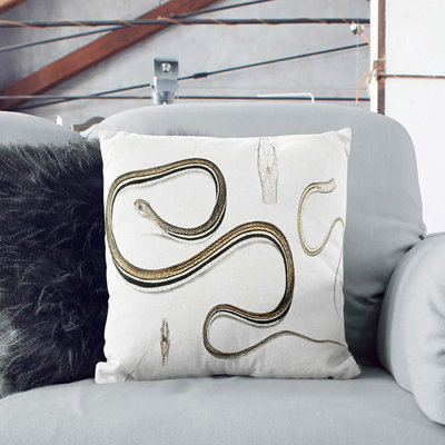 Square Throw Cushion