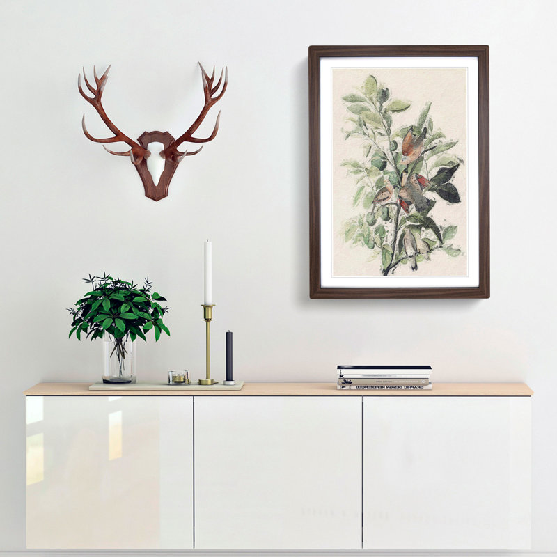 Ground Doves by John Audubon - Picture Frame Painting Print, 48cm H x 36cm W x 2cm D, Walnut Framed