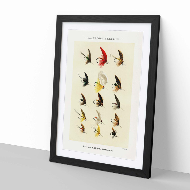 Trout Fishing Flies Version 2 by Mary Orvis Marbury - Picture Frame Painting Print, 60cm H x 40cm W x 2cm D, Black