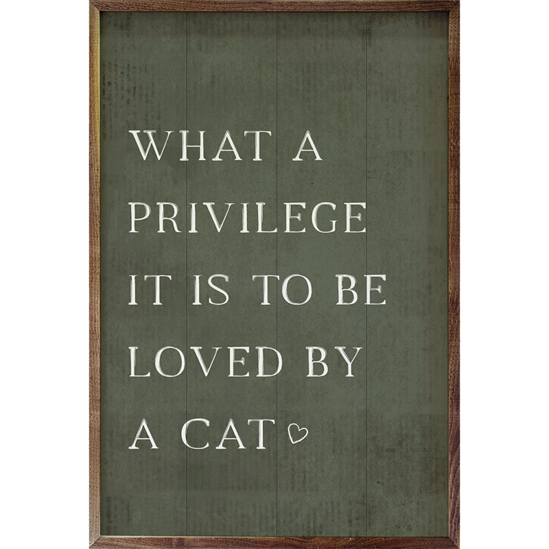 What A Privilege Cat, H 16 po x l 10 po