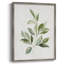 «Fresh Leaf Montage II», reproduction encadrée - bois massif 49518-861985079