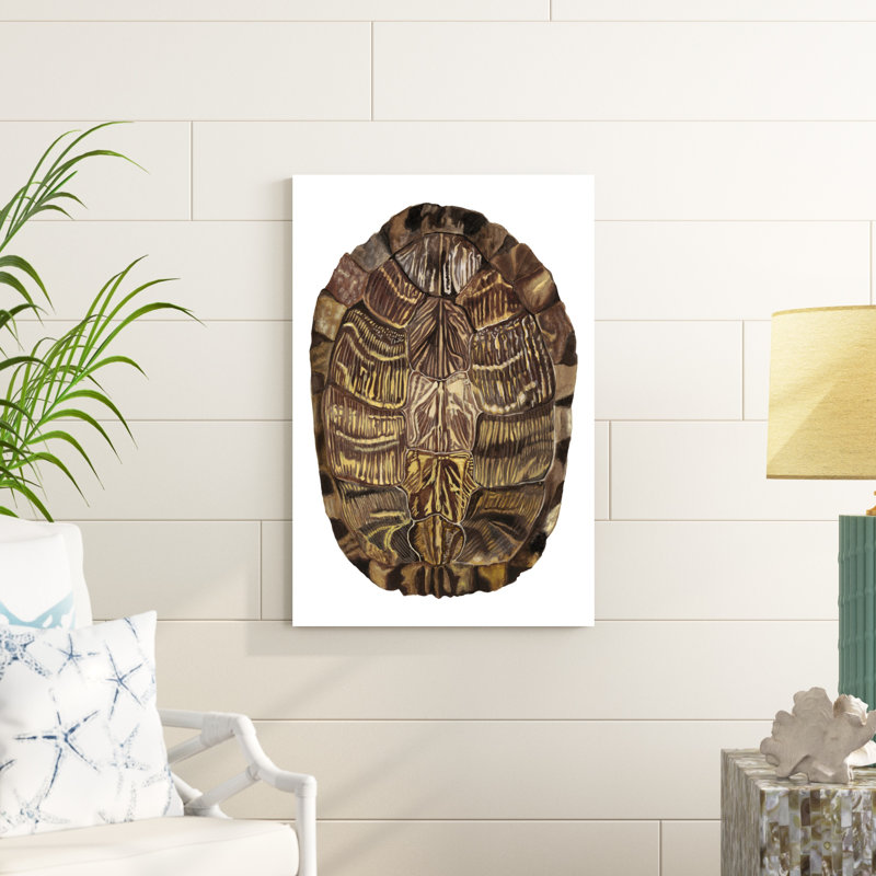 Écaille de tortue - détail I, H 36 po x l 24 po x P 1 po