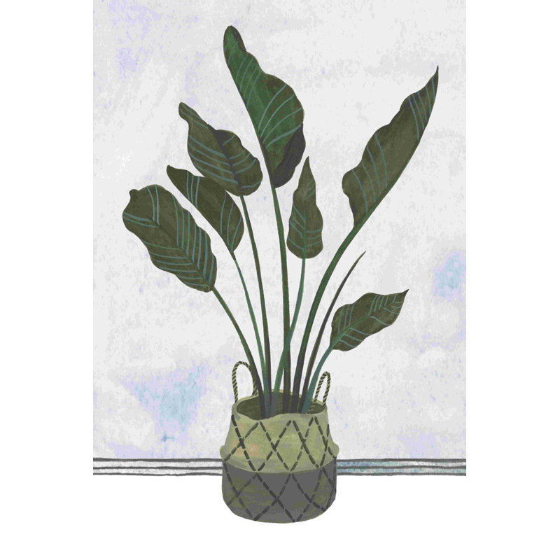Mes plantes III, H 18 po x l 12 po