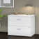 Studio C 36'' Wide 2 -Drawer File Cabinet