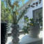 Jedd 9.25'' Glass Table Vase