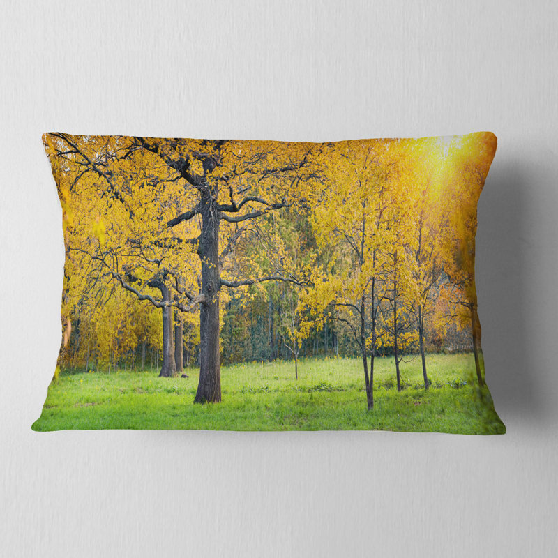 Coussin Sunny Park, Rectangle, 12 po x 20 po