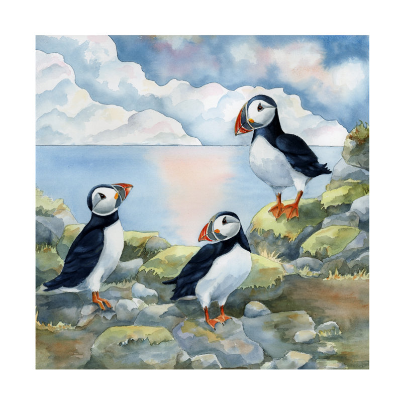 Art sur toile, "Puffins on Cliff On Canvas" par Tracy Miller, H 24 po x l 24 po