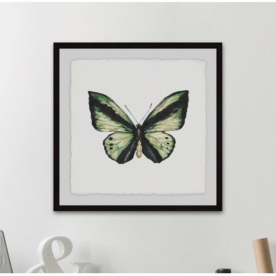Vert forêt-papillon-impression sur papier