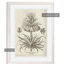 «Fresco Crown Imperial III» par Paul Cezanne - reproduction d'art encadrée-1138327999-1138327940