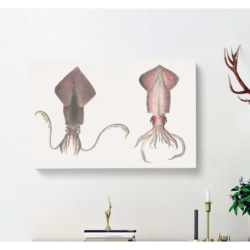 Squid Illustrations by J.E. De Kay - Wrapped Canvas Painting, 40cm H x 60cm W x 3cm D