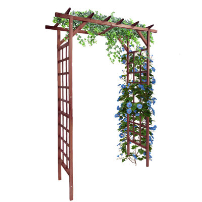 Arche de treillis de jardin en bois de sapin robuste - Pergola avec plateau plat pour plantes grimpantes - Allée extérieure, mariage, pelouse, décoration de patio - 85 pouces, teck, plateau plat