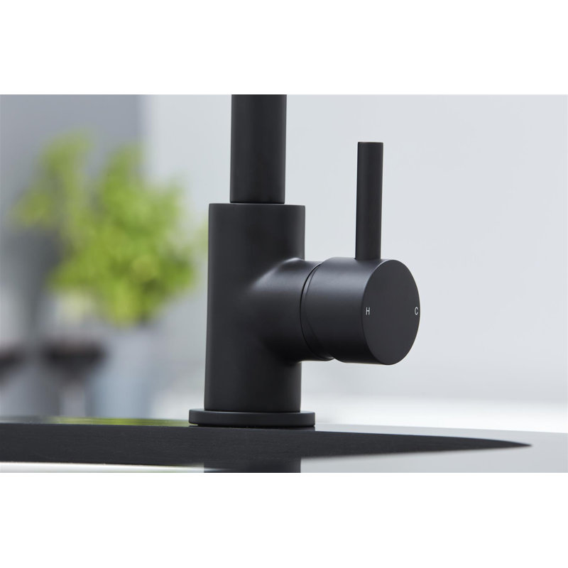 Belfry Kitchen Shamavi Kitchen Faucet