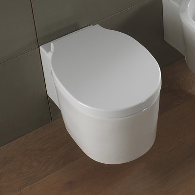 Scarabeo by Nameeks Bucket Elongated Comfort Height Chair Height with Seat Included Toilet