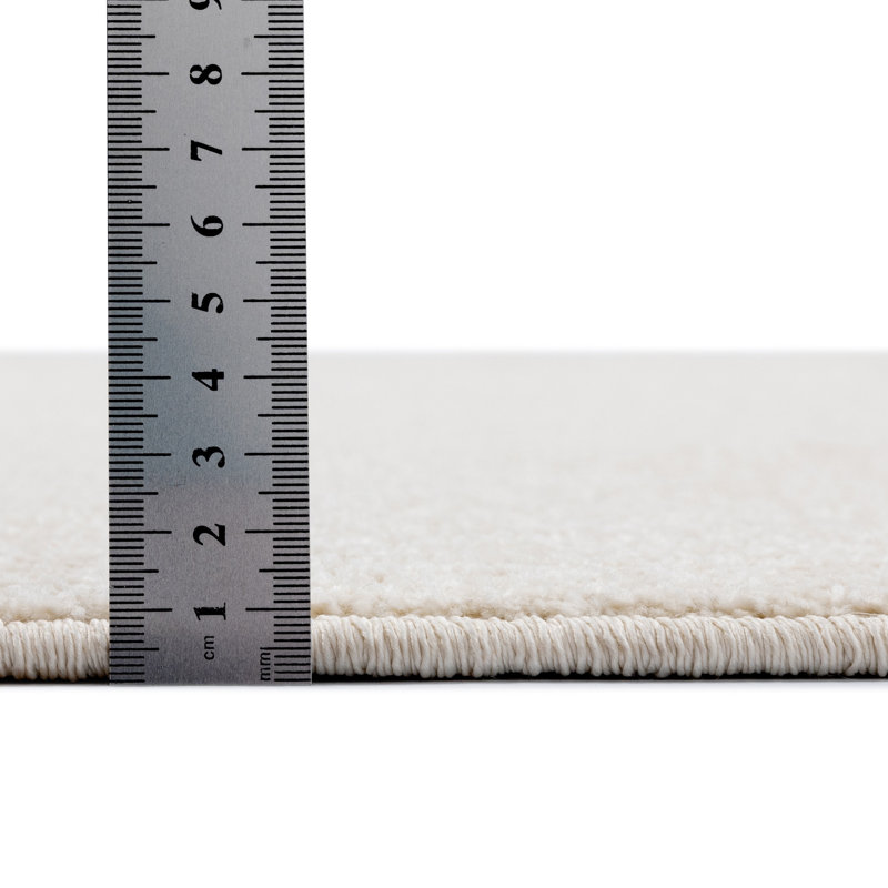 Paola Solid Colour Area Rug, Rectangular 67 x 120cm