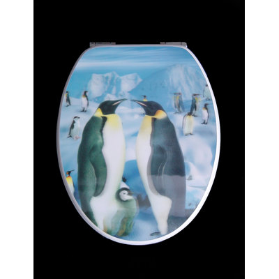 Adam Elongated Toilet Seat