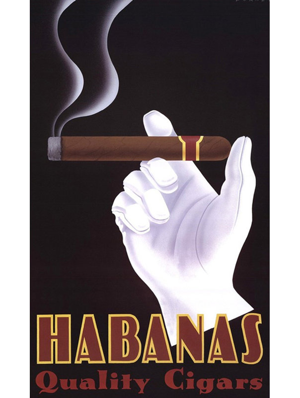 Cigares Habanas de qualité MCG-F529, H 18 po x l 11 po