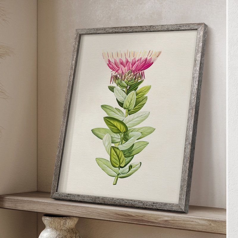«Pretty Pink Botanicals IV», reproduction encadrée - bois massif, H 15 po x l 12 po