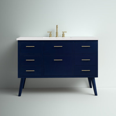 Steinfeldt 48' Single Bathroom Vanity Set