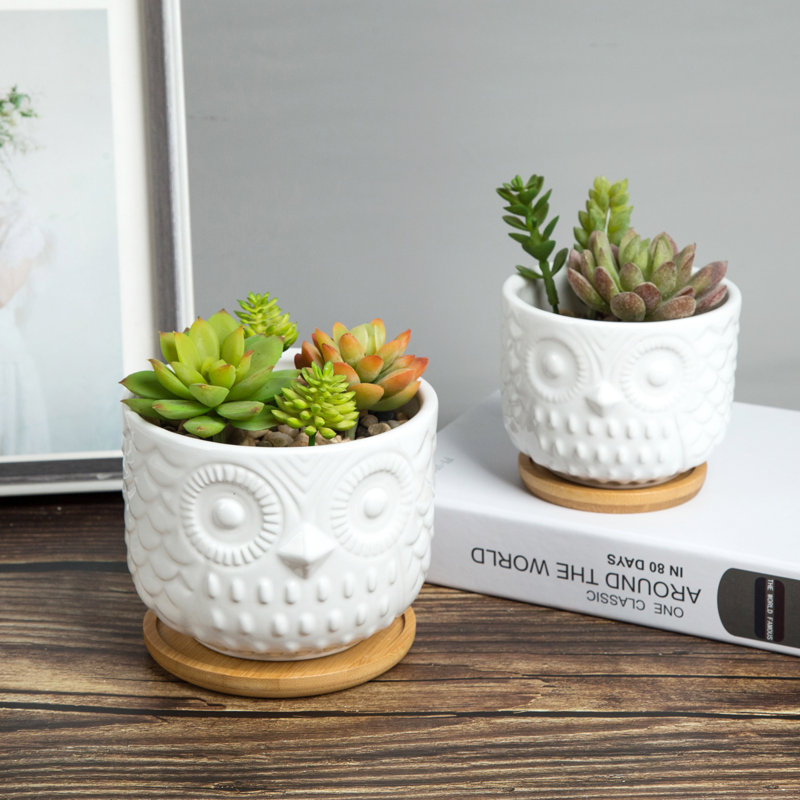 Antavius Ceramic Pot Planter