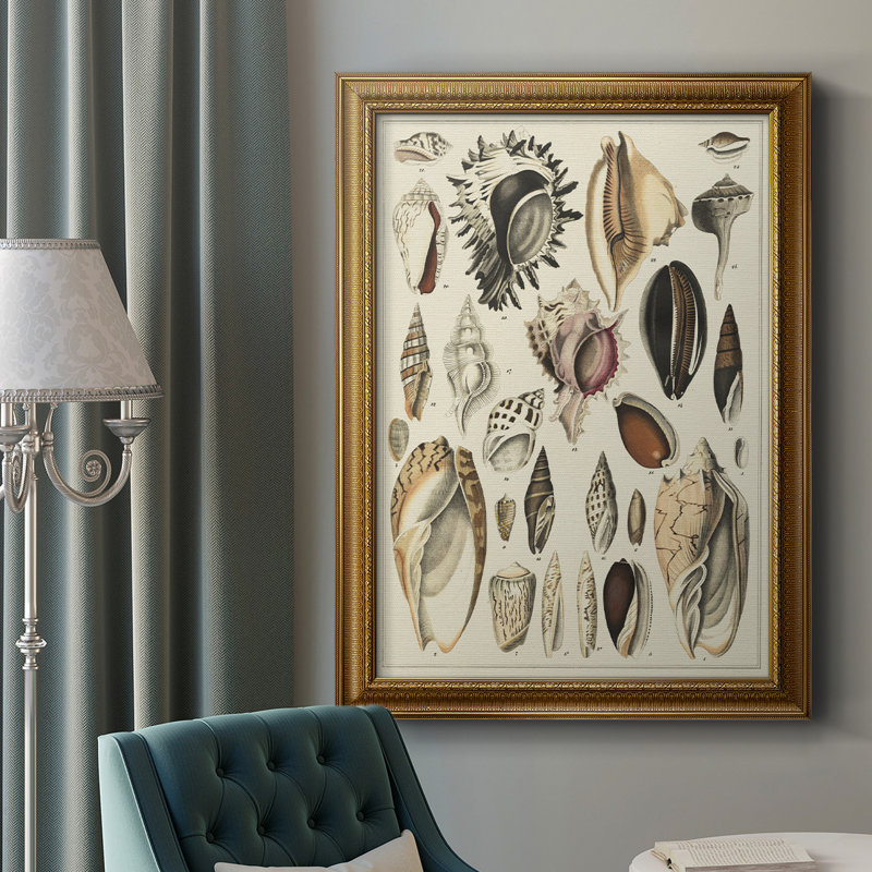 Seashell présent sur toile de qualité supérieure - prêt à être accroché, H 36 po x l 24 po x P 2,5 po