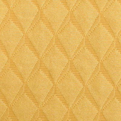 Eileen Kathryn Boyd Exclusively Lucchese Fabric