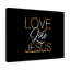 Love Like Jesus - Wrapped Canvas Print-1064809664
