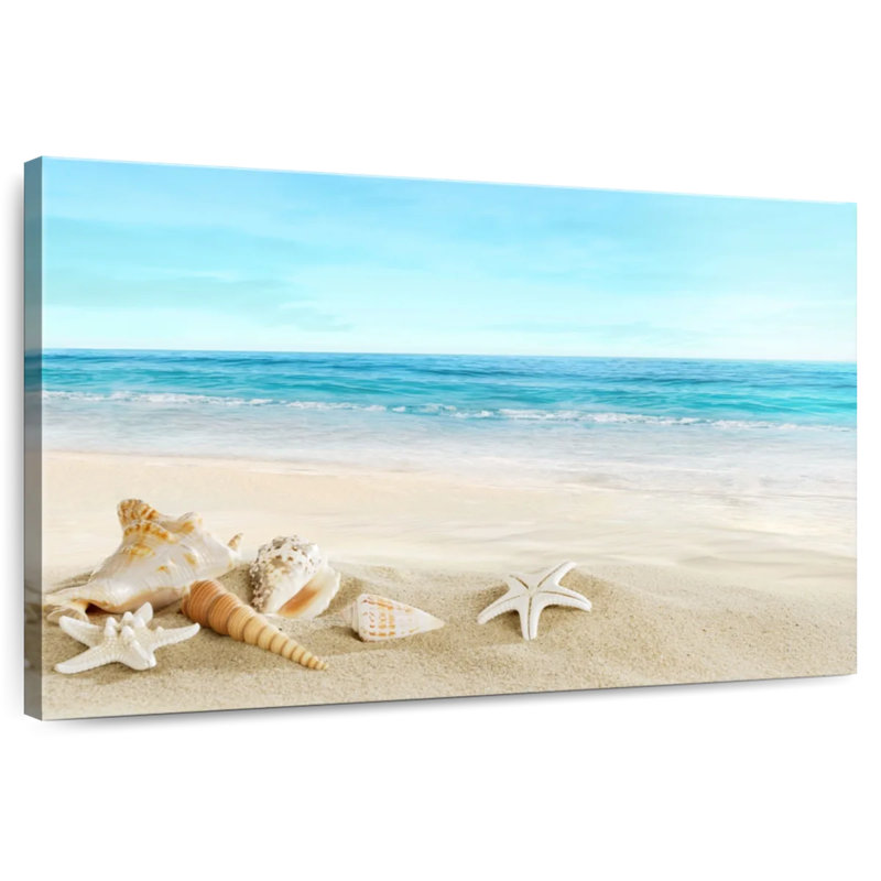 Aletra Beach Seashells, 16" H x 24" W